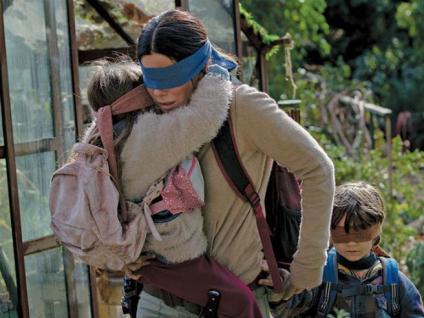 bird box 2