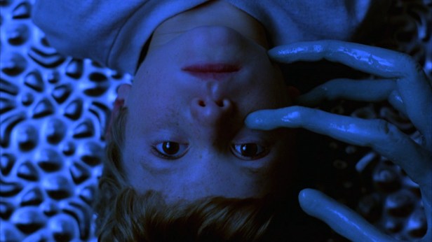 large_mysterious_skin_03_blu-ray_