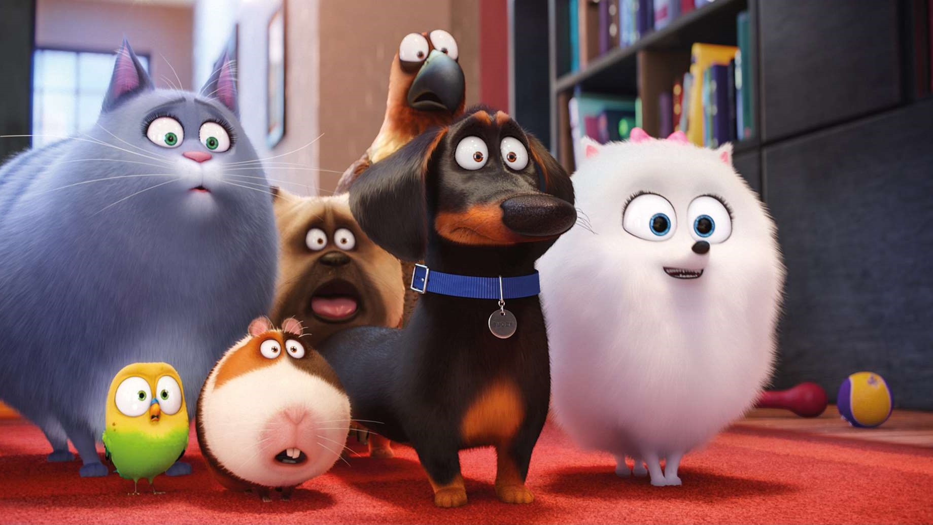 361076f6cbe0439db45cecd08bd7aeb2_compressed (2)